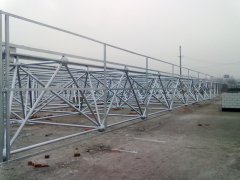 武安市一公司网架工程